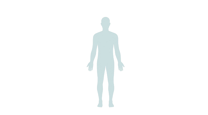 Human figure